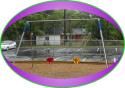Toddler Swings